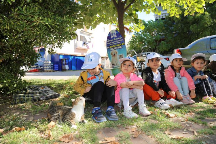 Sokak hayvanları Koruma gününde kedi evleri dağıtıldı 0